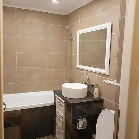 Apartment Lux Apartament Plopilor *