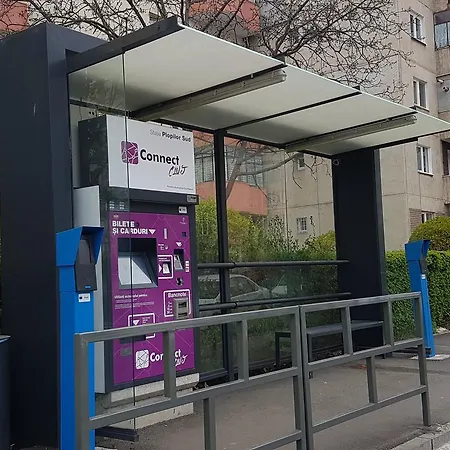 Lux Apartament Plopilor Apartment *